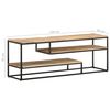 vidaXL TV-Schrank 130x30x45 cm Raues Mangoholz