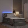 vidaXL Bett mit Stauraum und LED mit LED Hellgrau 100 x 200 cm Stoff