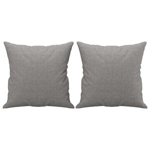 vidaXL Zierkissen 2 Stk. Hellgrau 40x40 cm Stoff