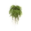 Emerald K&uuml;nstlicher Farn mit Wurzeln H&auml;ngend 55 cm