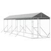vidaXL Outdoor-Hundezwinger mit Dach Silbern 2x10x2,5 m Stahl Verzinkt