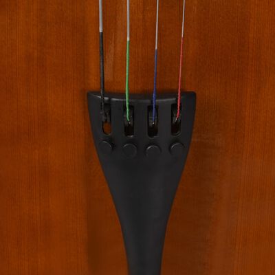 vidaXL Cello Komplettset mit Tasche & Bogen Naturhaar Dunkles Holz 4/4