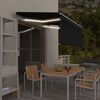 vidaXL Markise Manuell Einziehbar mit Rollo LED 3,5x2,5m Anthrazit