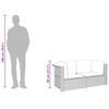 vidaXL Garten-Ecksofas mit Kissen 2 Stk. Schwarz Poly Rattan