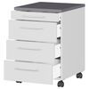 Germania Rollschrank GW-Profi 2.0 42x49x61 cm Hellgrau und Graphit