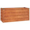 vidaXL Hochbeet Rostig 100x40x45 cm Cortenstahl