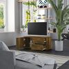 vidaXL TV-Schrank R&auml;uchereiche 80x34x36 cm Holzwerkstoff