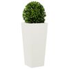 Produkt-Miniaturbild 4 von 12