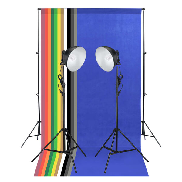 vidaXL Fotostudio-Set mit Lampen und Hintergr&uuml;nden