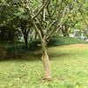 Produkt-Miniaturbild 2 von 7