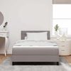 vidaXL Boxspringbett mit Matratze Taupe 120 x 190 cm Stoff