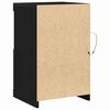 vidaXL Beistellschrank Schwarze Eiche 41 x 37 x 67 cm Holzwerkstoff