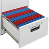 vidaXL Aktenschrank Hellgrau 46x62x164 cm Stahl
