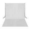 vidaXL Fotostudio-Set mit Softbox-Leuchten, Hintergrund und Reflektor