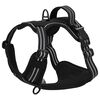 Produkt-Miniaturbild 8 von 14
