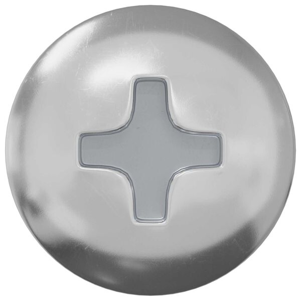 vidaXL Selbstschneidender Nagel 2 pcs Zink-beschichtet 4 x 20 mm Stahl