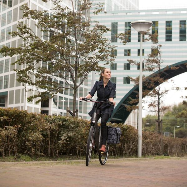 Willex Fahrradtaschen 36 L Schwarz und Braun Fantasy Trees 13961