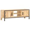 vidaXL TV-Schrank 120×30×40 cm Raues Mangoholz