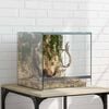 vidaXL Terrarium mit Speicher Transparent 30 x 30 x 30 cm Glas
