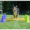 FitPAWS Hunde-Agility-Set Canine Gym