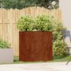 vidaXL Pflanzk&uuml;bel Rostig 80x40x80 cm Wetterfester Stahl