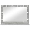 vidaXL Kosmetikspiegel mit LED-Lichtleisten Beton Grau 80 x 55 x 18 cm