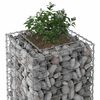 vidaXL Gabionen Hochbeet Silber 50 x 50 x 80 cm Verzinkter Stahl