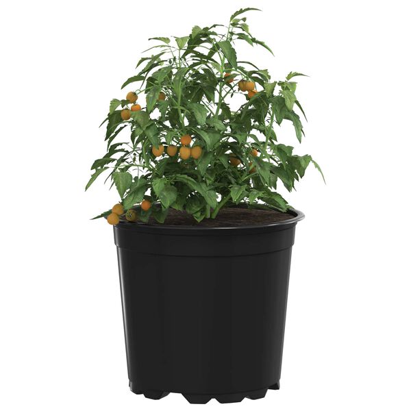 Produktbild 3 von 11 anzeigen