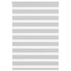 vidaXL Doppelrollo Hellgrau 105x150cm Stoffbreite 100,9 cm Polyester