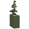 Olive_green