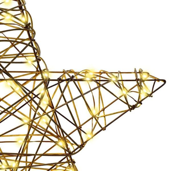 vidaXL 3D Stern mit 50 LEDs Warmweiß 55 x 52,5 x 9 cm Rattan