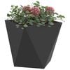 vidaXL Pflanzkübel 2 pcs Schwarz 30 x 30 x 30 cm Stahl