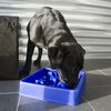 EAT SLOW LE LONGER Anti-Schling-Napf f&uuml;r Hunde Star Blau S
