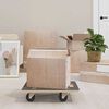 vidaXL Transportroller 2 Stk. Rechteckig 50x35x11,5 cm 250 kg