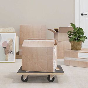 vidaXL Transportroller 2 Stk. Rechteckig 50x35x11,5 cm 250 kg