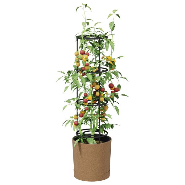 Produktbild 3 von 6 anzeigen