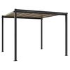 vidaXL Gartenpavillon Anthrazit 3x3 m Aluminium