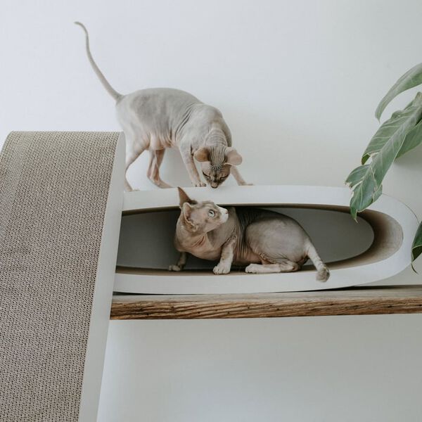 DISTRICT70 2-in-1 Katzen-Kratzbrett OVAL OFFICE