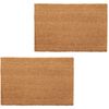 vidaXL Nat&uuml;rliche Fu&szlig;matten 2 Stk. Coir 24 mm 40x60 cm