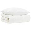 vidaXL G&auml;nsedaunen-Bettdecken-Set 90% FULDA 2 stk. 152 x 203 cm Winter