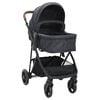 vidaXL 2-in-1 Kinderwagen Anthrazit und Schwarz Stahl