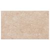 vidaXL K&uuml;chenarbeitsplatte Beige mit Marmor-Struktur 100x60x2,8 cm