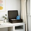 vidaXL Holzkiste mit Deckel Schwarz 40x30x13 cm Massivholz Kiefer