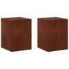 vidaXL Pflanzenst&auml;nder 2 pcs Rostoptik 30 x 30 x 40 cm Wetterfeststahl