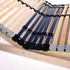 vidaXL Lattenrost mit 42 Latten 7 Zonen 100x200 cm