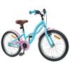 vidaXL Kinderfahrrad 20 Zoll f&uuml;r 6-11 Jahre alt Himmelblau