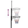 vidaXL Basketballständer Transparent 280-350 cm Polycarbonat