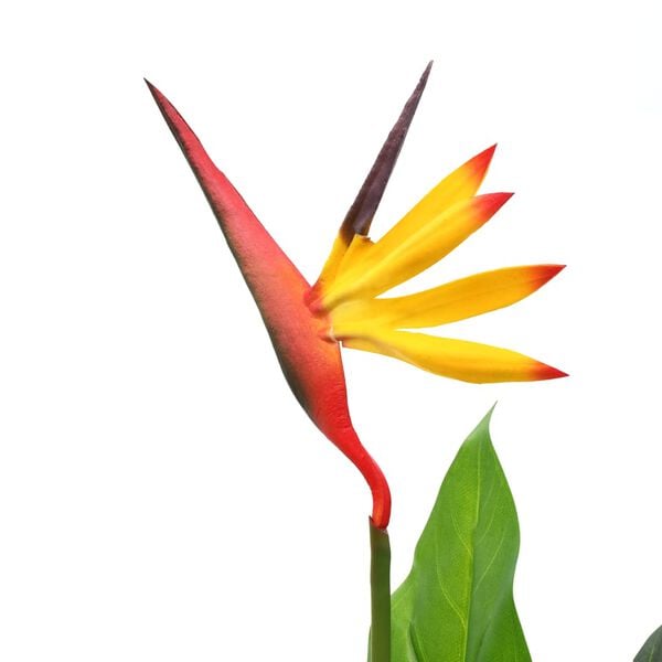 vidaXL K&uuml;nstliche Strelitzia Reginae Paradiesvogelblume 66 cm