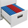 vidaXL Aktenschrank Hellgrau 46x62x164 cm Stahl