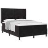 vidaXL Boxspringbett mit Matratze Schwarz 140 x 200 cm Samt